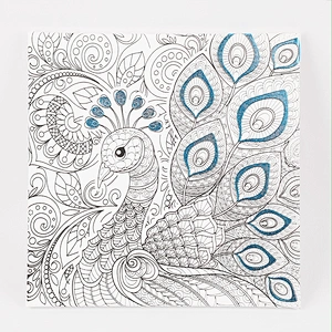 Pre Drawn Stretched Canvas for Painting, Peacock Theme