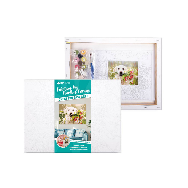 Painting by Number Kits, Framed Canvas, for Adults and Kids Beginner