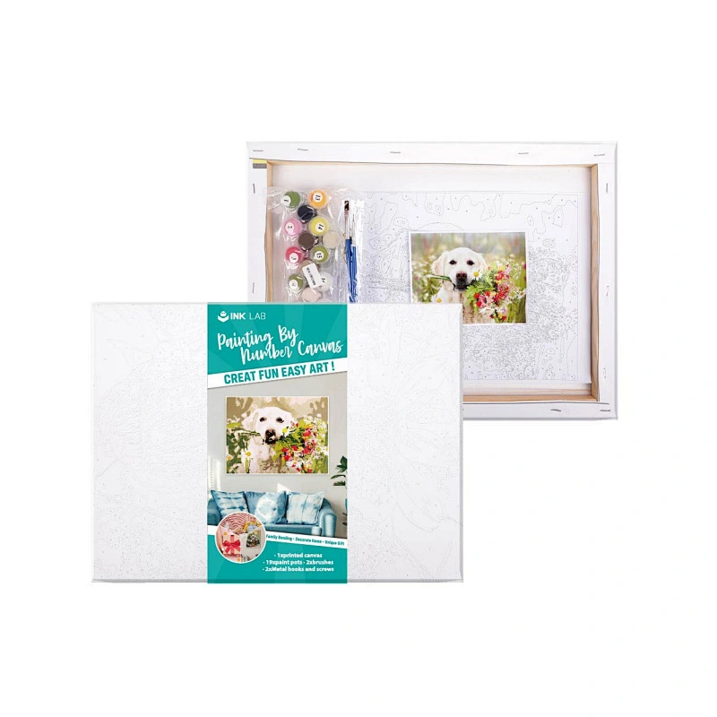 Painting by Number Kits, Framed Canvas, for Adults and Kids Beginner