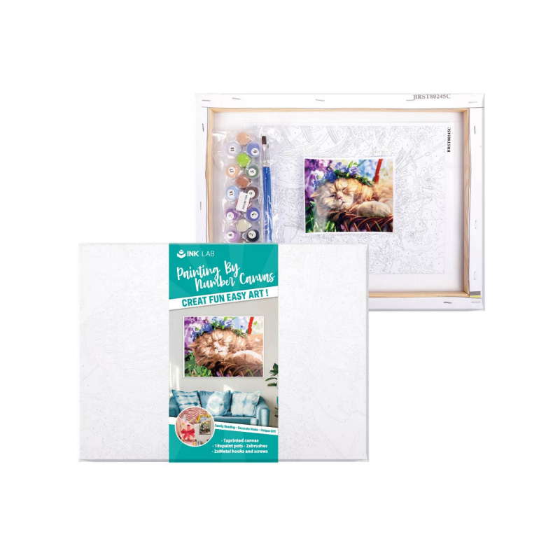 Painting by Number Kits, Framed Canvas, for Adults and Kids Beginner