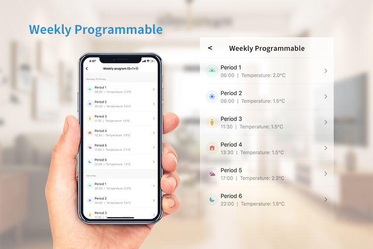 WiFi Thermostat
