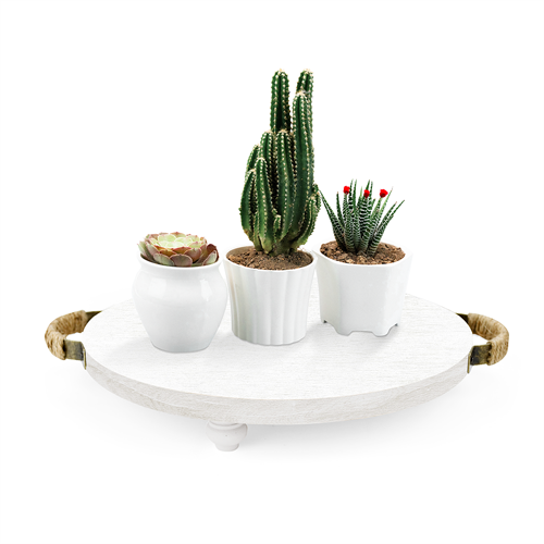 Plant Stand