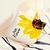 Linen Pillowcase Set
