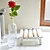 Wood Tray Riser