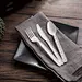 6 Inch CPLA Cutlery