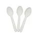 5 inch cpla ice cream spoon