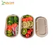 sugarcane box