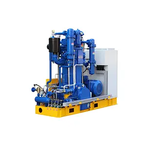 Absolute Pressure Water Cooled Oil-Free Piston Series Air Compressor