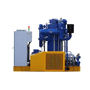 Absolute Pressure Water Cooled Oil-Free Piston Series Air Compressor