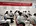 IATF16949 Quality Management System 2022 First Phase Auditor Training Course