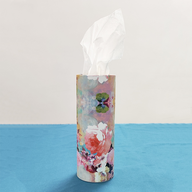 Car Tissue Holder with Facial Tissues Cylinder Tissues Tissue Tubes for Car