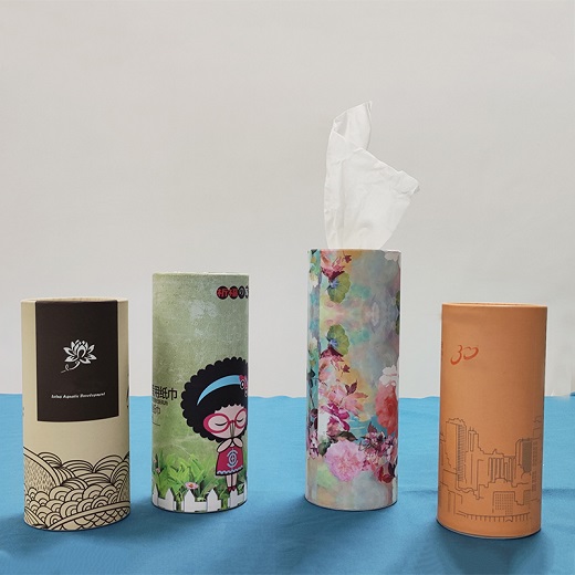 Car Tissue Holder with Facial Tissues Cylinder Tissues Tissue Tubes for Car