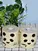 bamboo toilet tissue paper