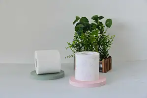 toilet tissue mother roll
