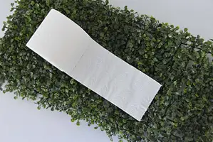 toilet tissue mother roll