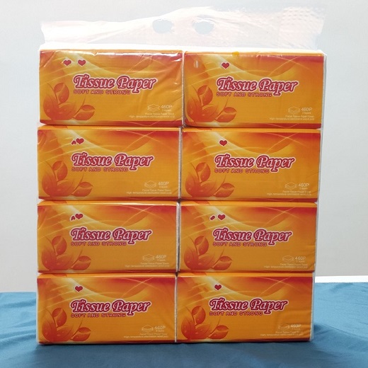 High-Quality Free Sample Customized Eco-friendly Soft Factory Price Facial Paper Tissue_1