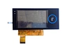 Membrane switch with screen