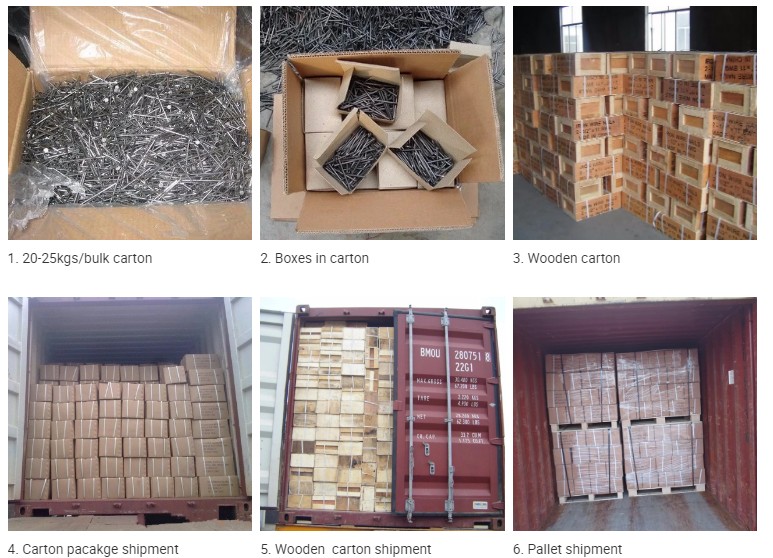 Common Wood Nails Bulk Packing