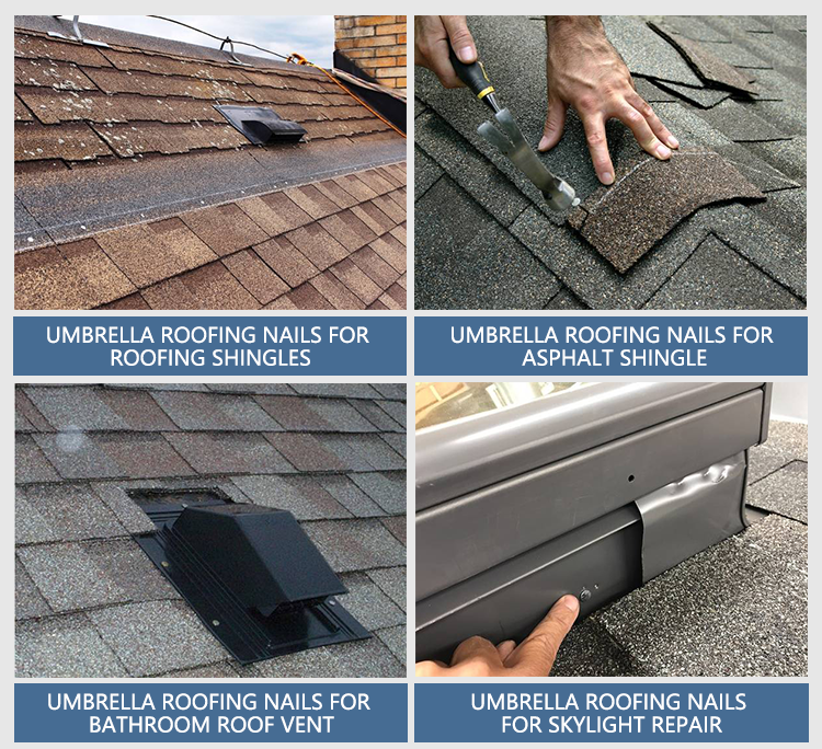 Roofing Nail Application