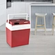 portable electronic cooling and warming refrigerator