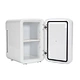 facial mini fridge