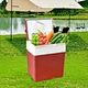 mini fridge for car and home