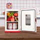 mini fridge for vehicle