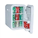 mini fridge cooler and warmer