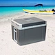 small electric cooler for car