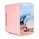 the cosmetics fridge