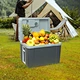 best mini fridge for car