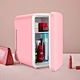 portable camping fridge