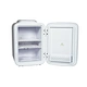 fridge for beauty products