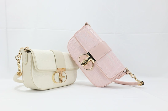 Unique Handbags For Women