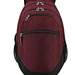 Waterproof Backpack