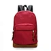 Travelling Laptop Backpack
