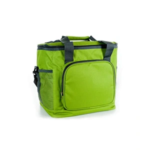 Insulated bag/cooler bag