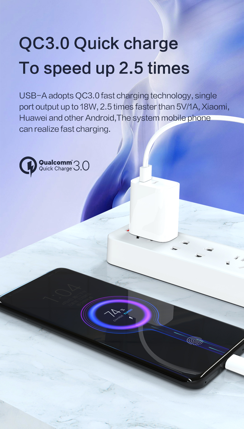 Wall Charger specialized manufacturer in China-Ferpower