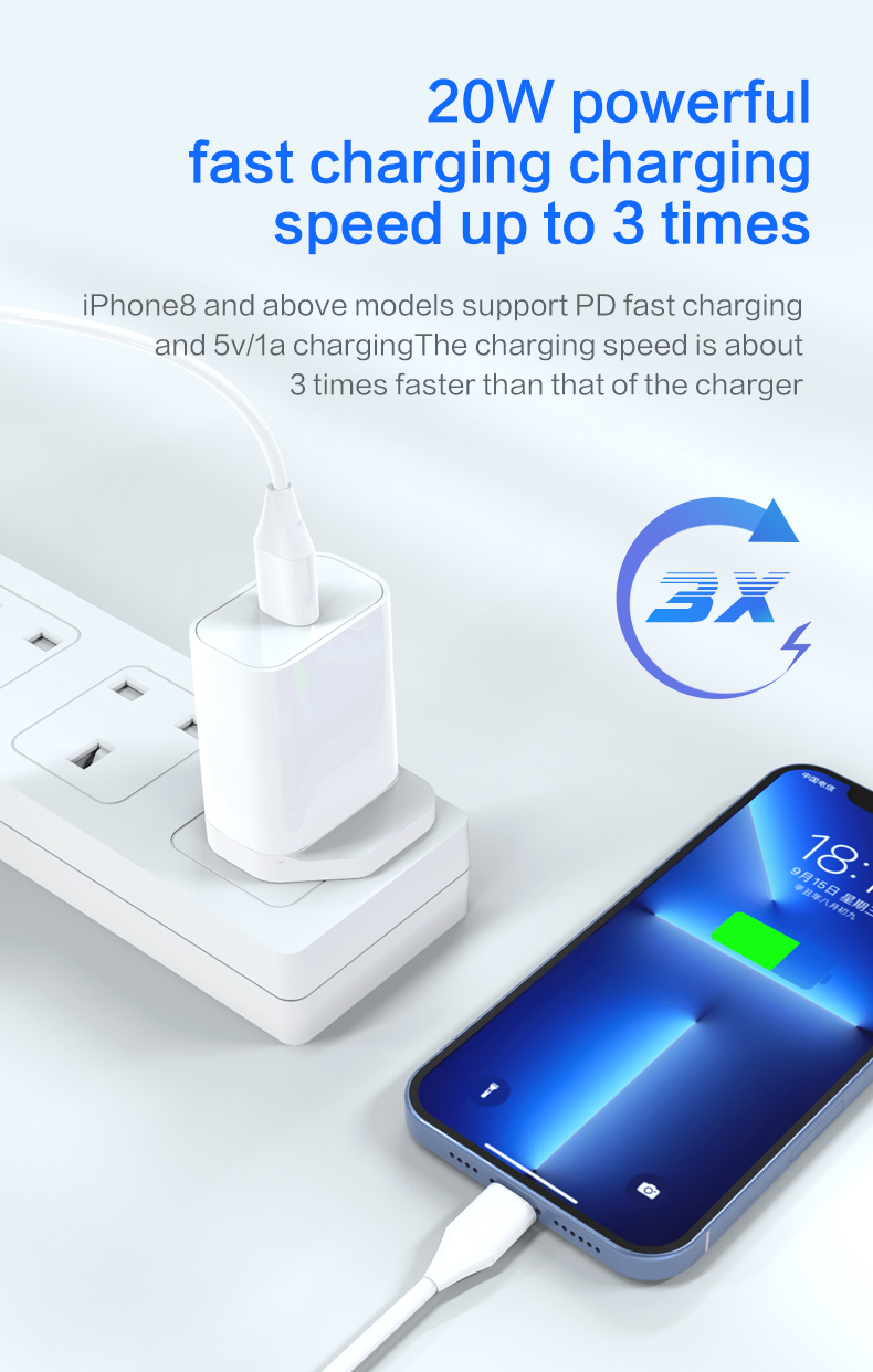 Quick Charger specialized manufacturer in China-Ferpower