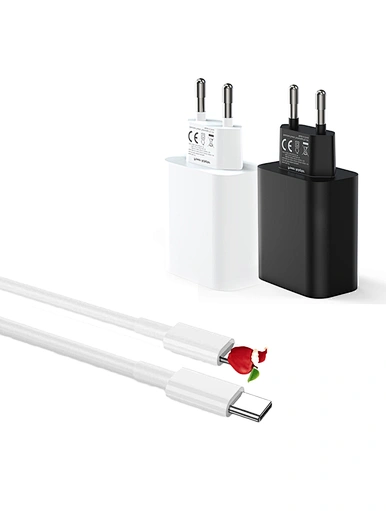 Charger Adapter specialized manufacturer in China-Ferpower