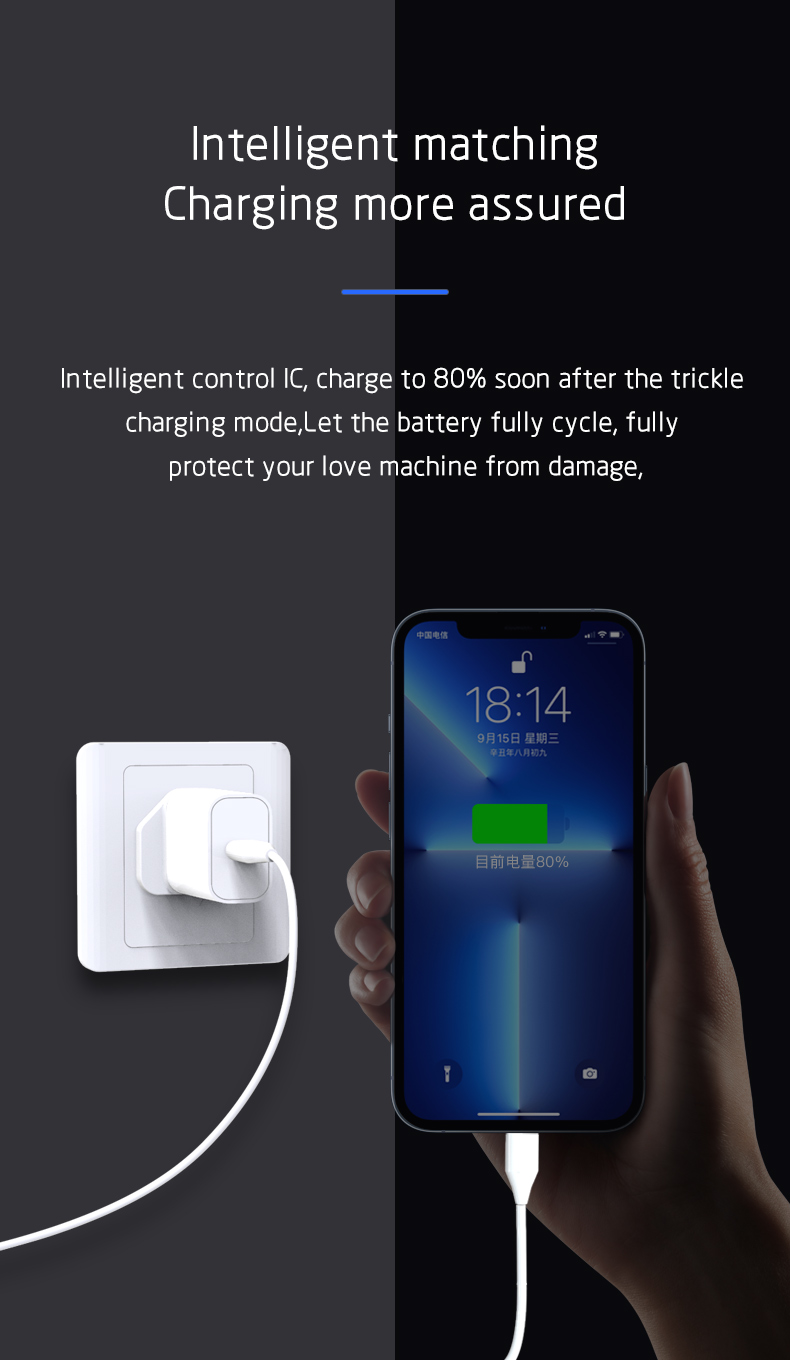 Quick Charger, Electric Charger, Fast Charger, Wall Charger