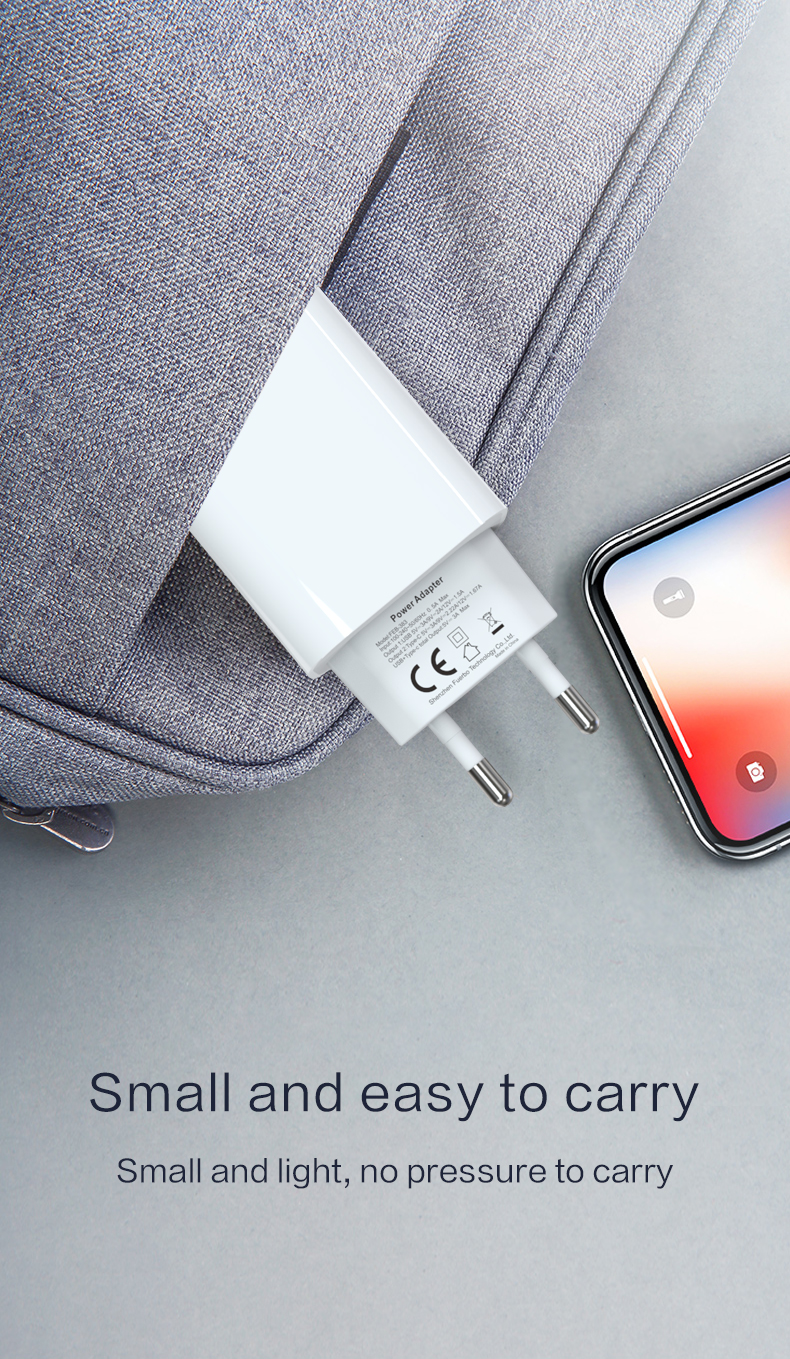 iPhone Charger specialized manufacturer in China-Ferpower