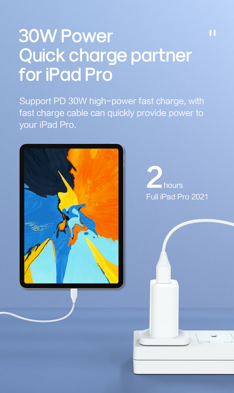 PD30W Mobile Charger specialized manufacturer in China-ferpower