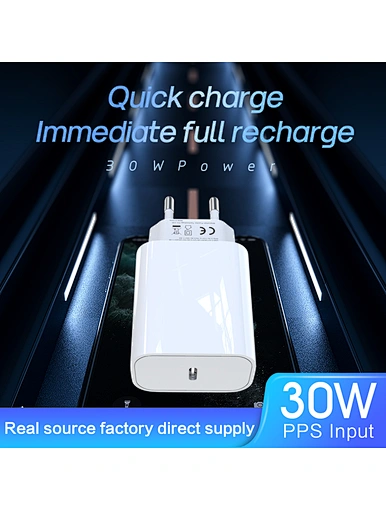 Charger Adapter specialized manufacturer in China-ferpower