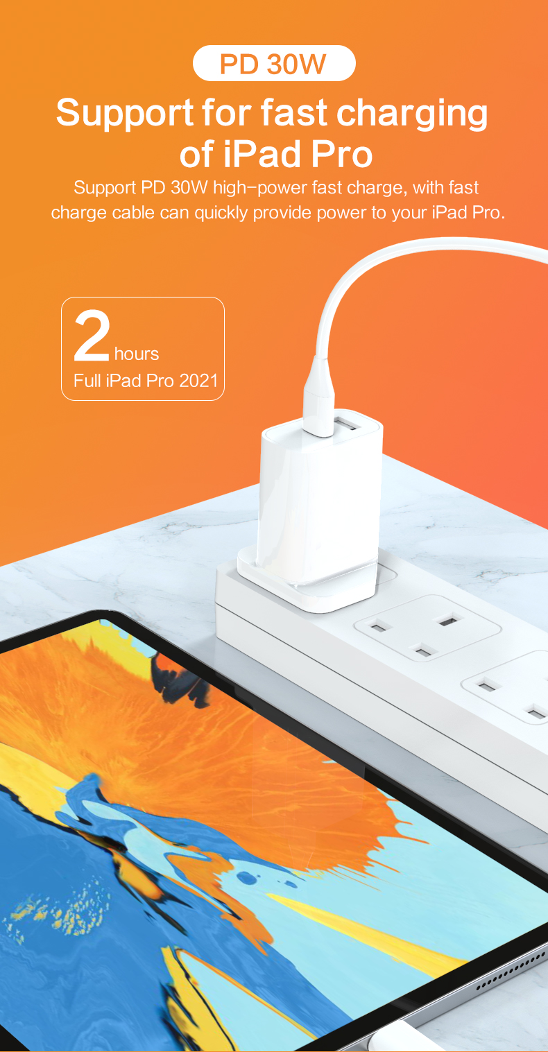 Quick Charger, Charging Block, Electric