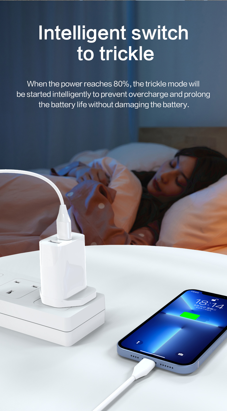 Quick Charger, Charging Block, Electric