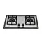Double burner built in gas stove manufacturer