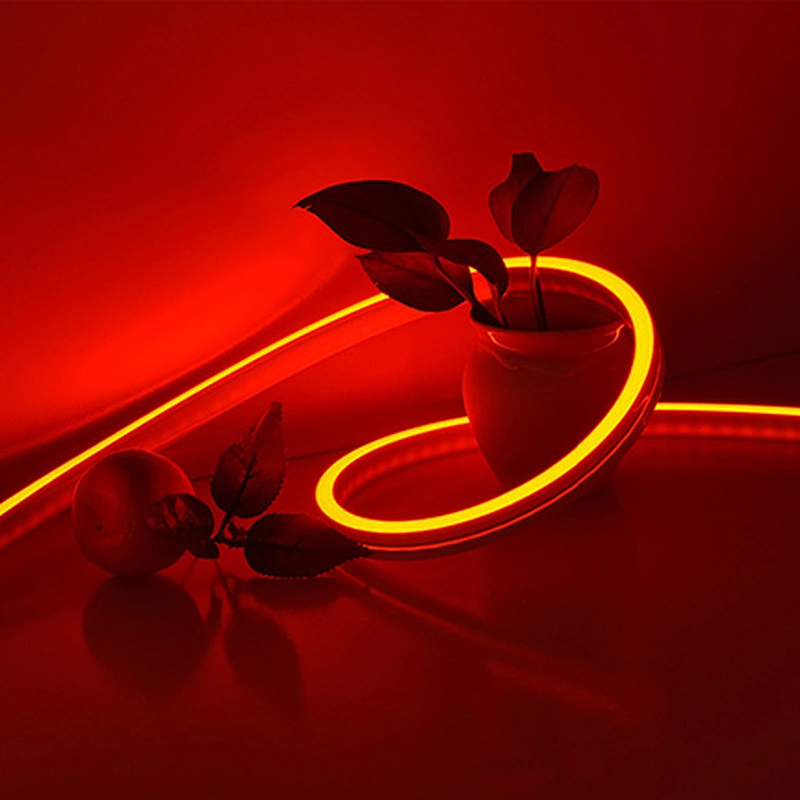 1220 Neon 5050 DMX512 RGB LED Strip Lights