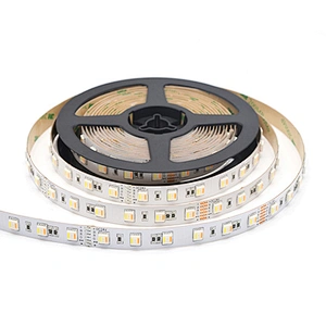 60LEDs DC 24V SMD 5050 RGBCW LED Strip