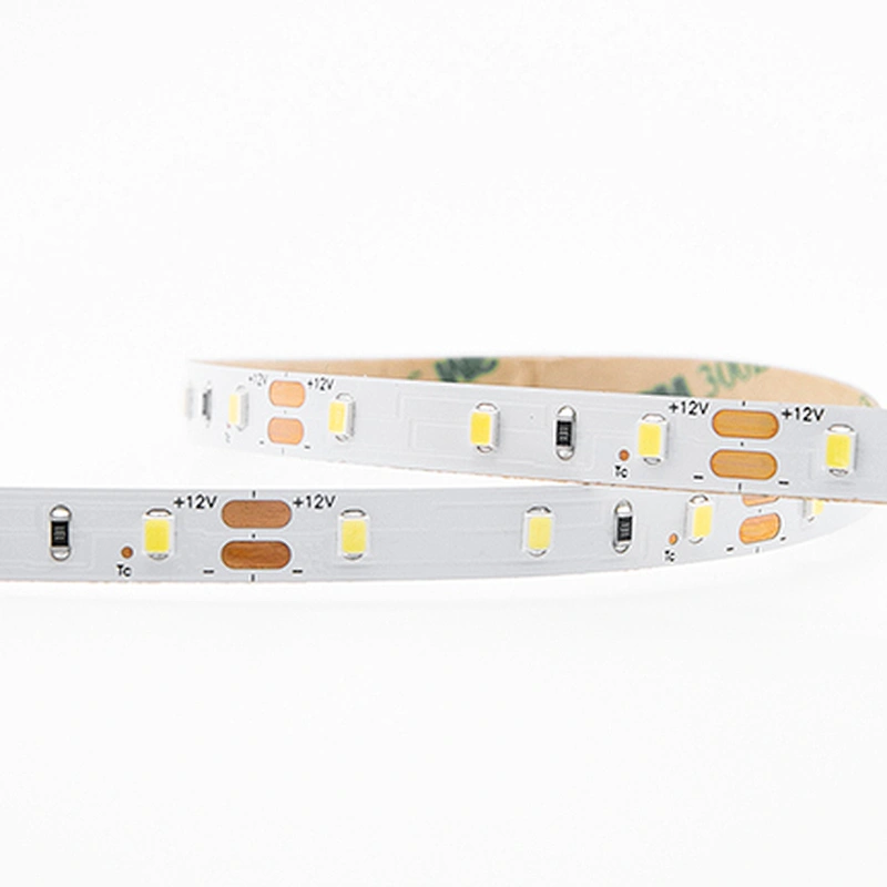 ODM/ OEM Wholesale SMD 2835 LED Light Strips